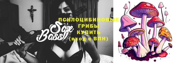 мяу мяу мука Баксан