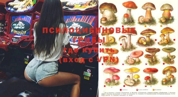 винт Армянск