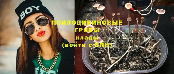 спайс Арсеньев