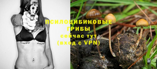 винт Армянск