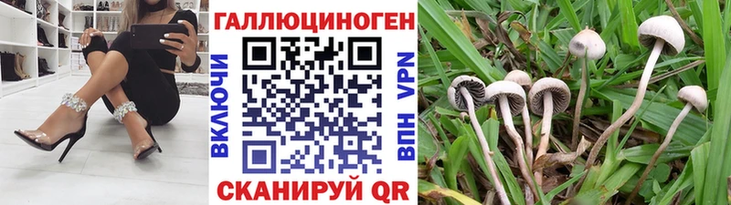 Псилоцибиновые грибы Psilocybine cubensis закладки Лабинск
